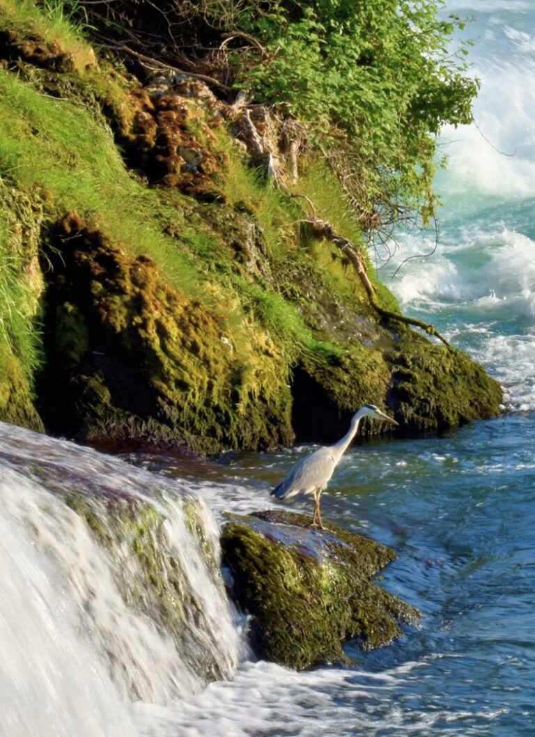 Paysage alsacien. JVO Voyage, votre agence de voyages en groupe par excellence, organise des excursions. en Alsace.