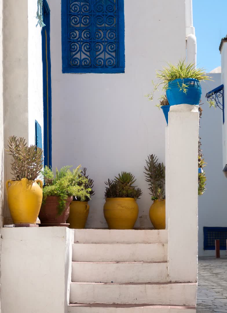 Maison à Hammamet. JVO Voyage, votre agence de voyages en groupe par excellence, organise des excursions en Tunisie.