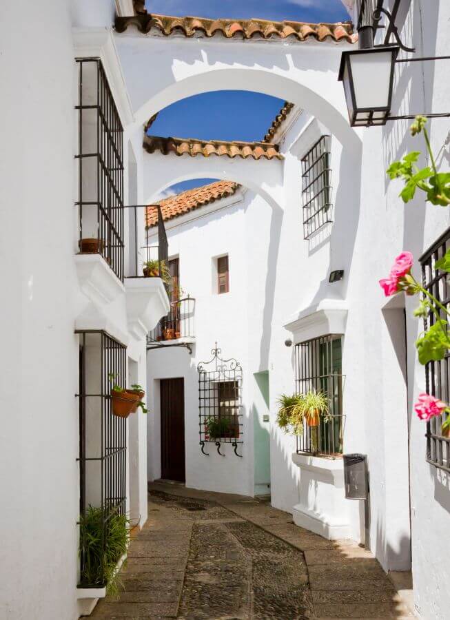 L'Andalousie : Plongez dans la magie et l'enchantement de cette région Espagnole aux mille trésors. JVO Voyages votre agence de voyages en groupe par excellence, organise des excursions et croisières. Rue d'un village Andalou.