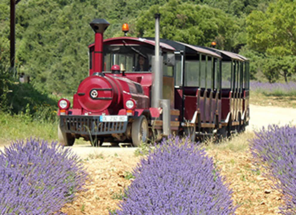 Petit train. JVO Voyage, votre agence de voyages en groupe par excellence, organise des excursions en Ardèche.