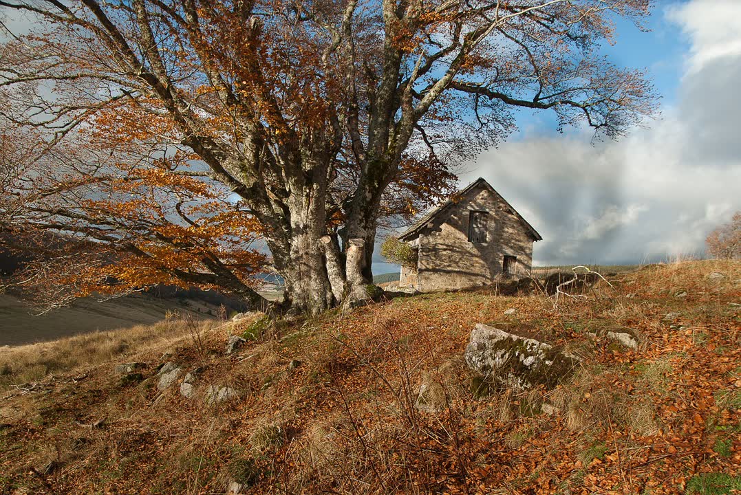 JVO Voyage, votre agence de voyages en groupe par excellence, organise des excursions en Aveyron. Paysage de l'Aubrac