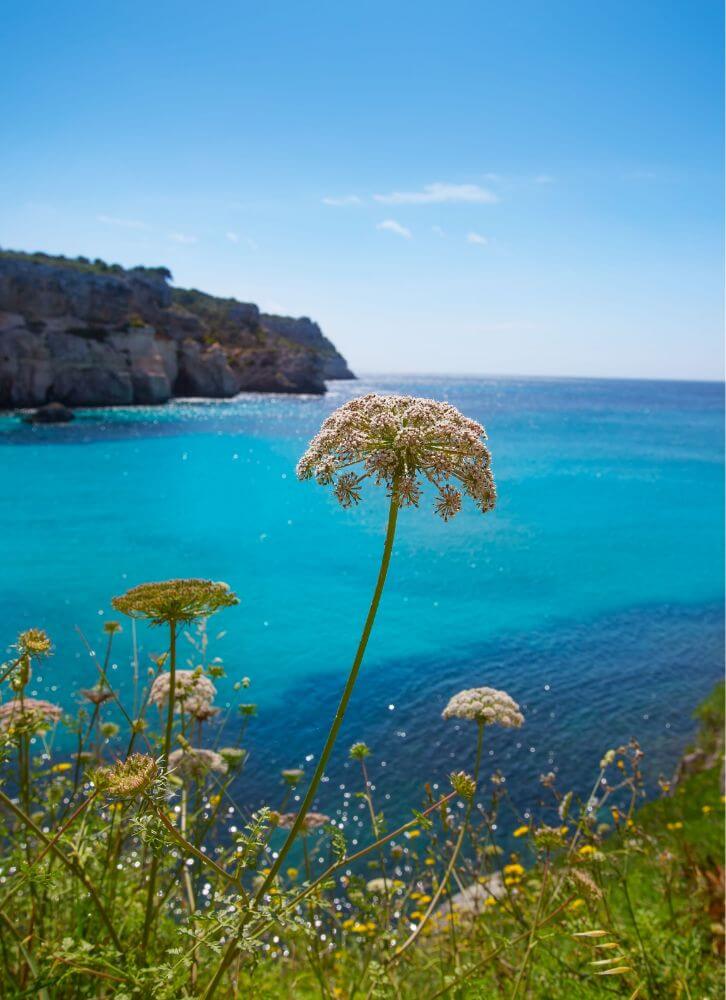 Randonnées - Baléares. JVO Voyages votre agence de voyages en groupe par excellence, organise des excursions. Plage