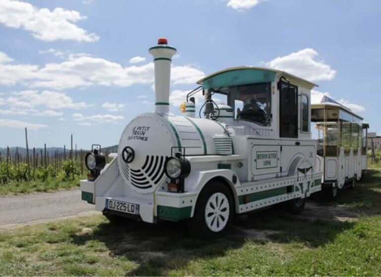 Au coeur de la Drôme Provençale. JVO Voyages votre agence de voyages en groupe par excellence, organise des excursions. Petit train à travers les vignobles.