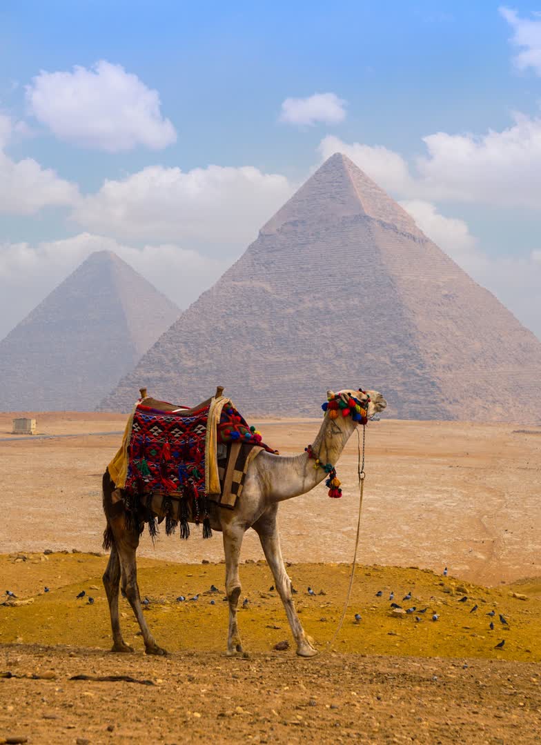 Pyramides égyptiennes. JVO Voyage, votre agence de voyages en groupe par excellence, organise des excursions en Egypte.