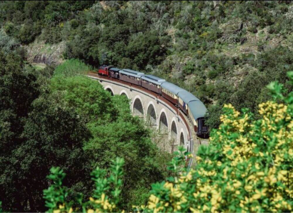 A toute vapeur dans les Cévennes. JVO Voyages votre agence de voyages en groupe par excellence, organise des excursions. Train à vapeur à Saint du Gard.