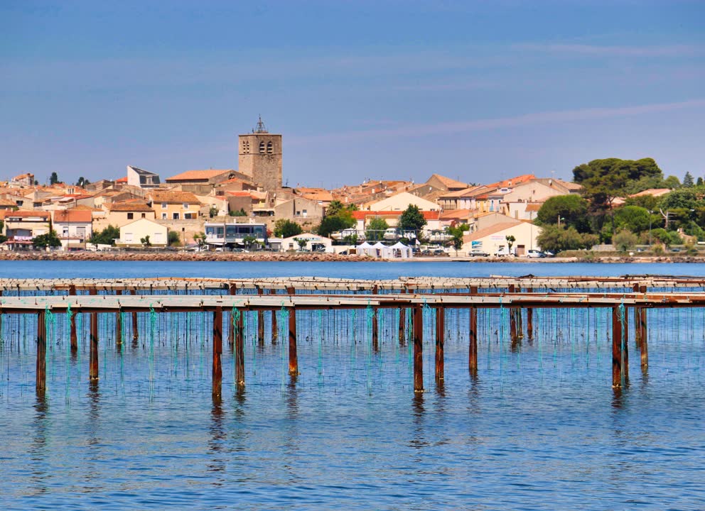 JVO Voyage, votre agence de voyages en groupe par excellence, organise des excursions en Occitanie sur le bassin de Thau : L'Etang de Thau