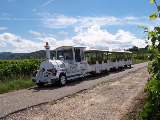 JVO Voyage, votre agence de voyages en groupe par excellence, organise des excursions en Auvergne-Rhône-Alpes. Le train des vignes dans la Drôme.