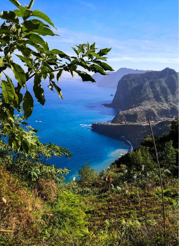 Randonnées à Madère. JVO Voyages votre agence de voyages en groupe par excellence, organise des excursions au Portugal. L'île de Madère et la mer, vue de la colline.