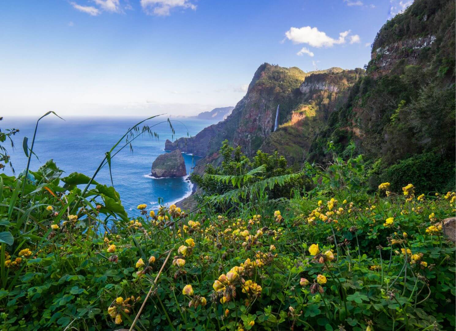 Randonnées à Madère. JVO Voyages votre agence de voyages en groupe par excellence, organise des excursions au Portugal. Vue des plages et de la végétation.