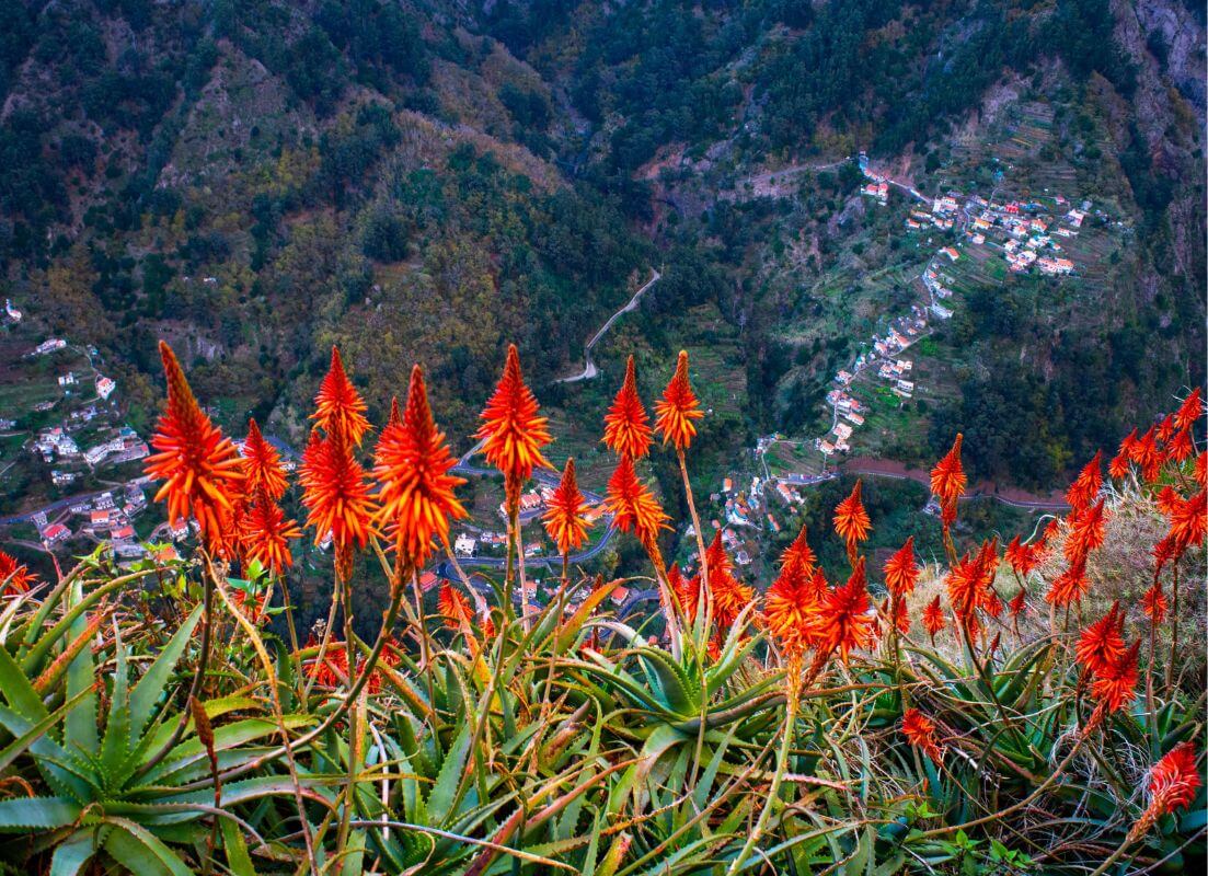 JVO Voyages votre agence de voyages en groupe par excellence, organise des excursions. Madère. Paysage montagneux.