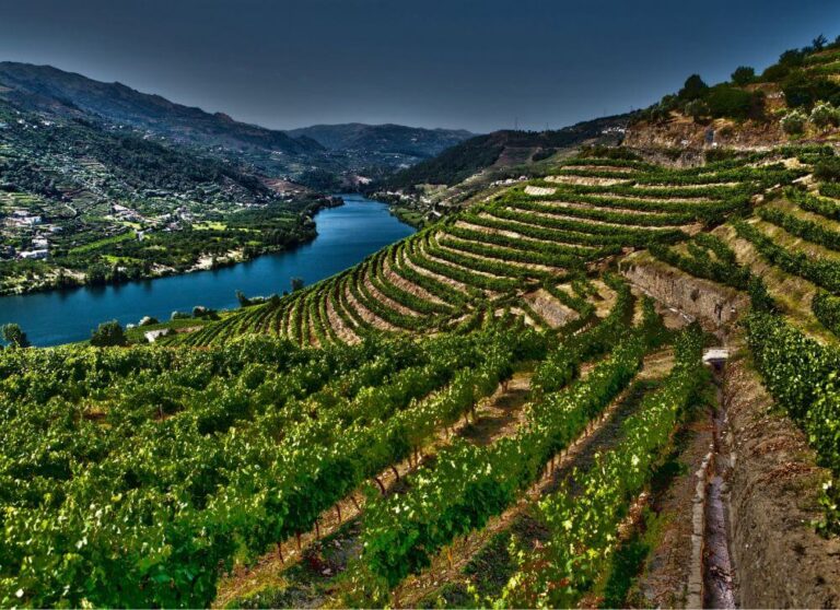 JVO Voyages votre agence de voyages en groupe par excellence, organise des excursions. Visite des vignes de la vallée du Douro.