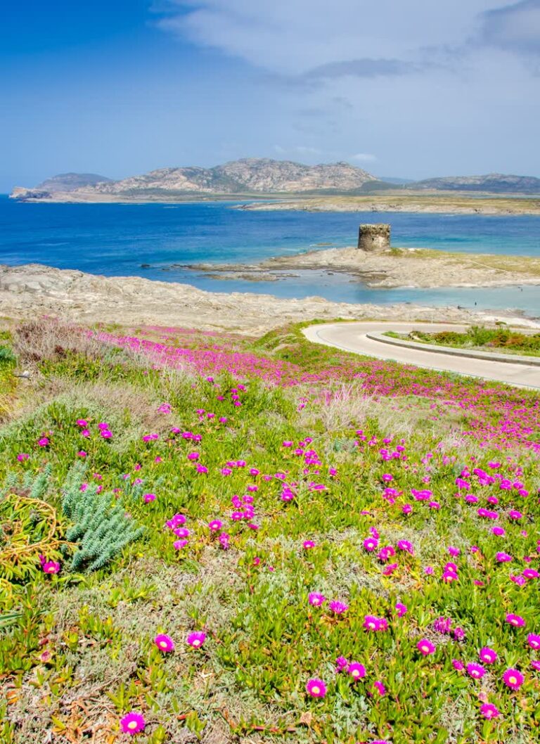 Routes en Sardaigne. JVO Voyage, votre agence de voyages en groupe par excellence, organise des excursions en Italie.