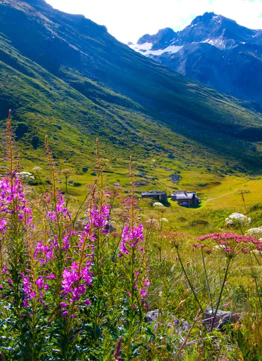 Excursion en Savoie proposé par JVO Voyage, votre agence de voyages en groupe par excellence : découverte des montagnes de Savoie