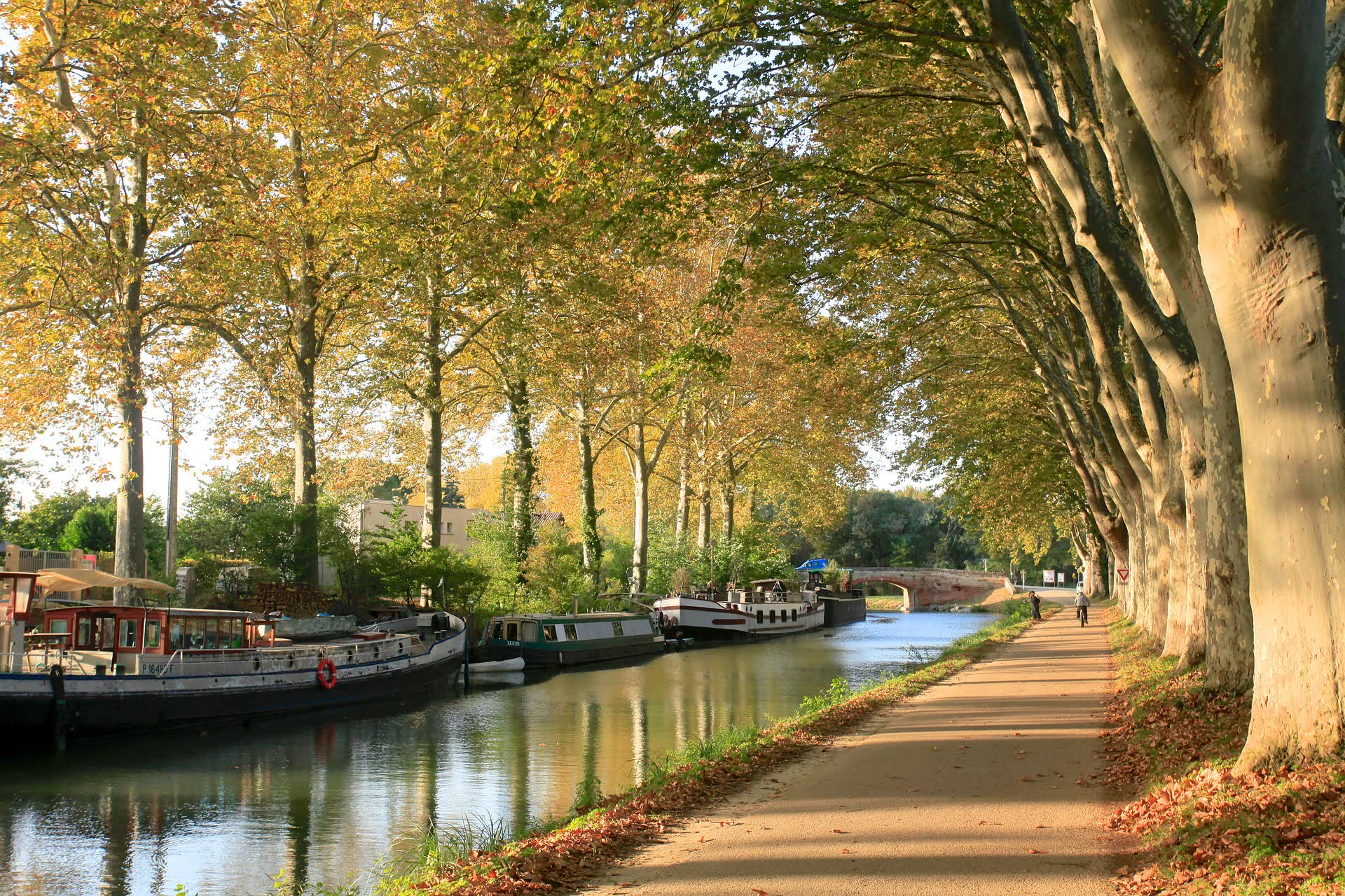 JVO Voyage, votre agence de voyages en groupe par excellence, organise des excursions en Occitanie. Croisières sur le canal du midi, au départ de Toulouse