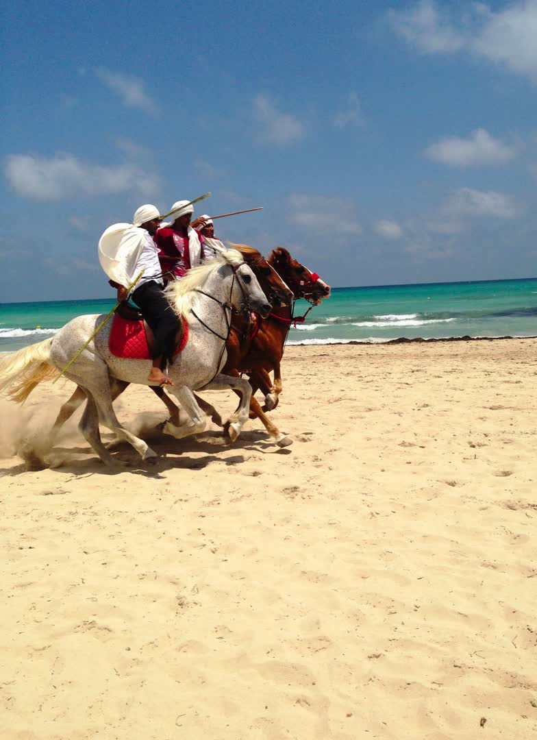 Plage à Djerba. JVO Voyage, votre agence de voyages en groupe par excellence, organise des excursions en Tunisie.