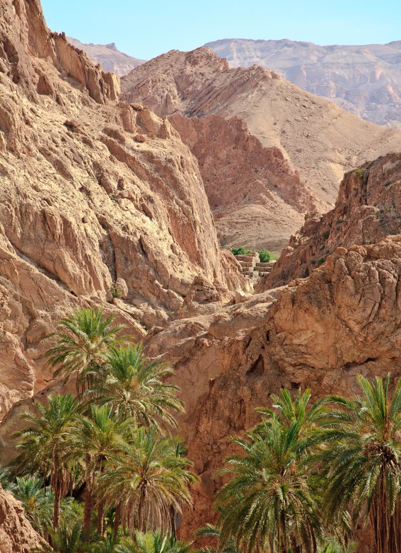 JVO Voyage, votre agence de voyages en groupe par excellence, organise des excursions en Tunisie. Paysage majestueux du désert tunisien.