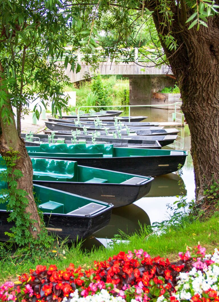 Puy du Fou - Marais Poitevin - Jvo Voyages - 9