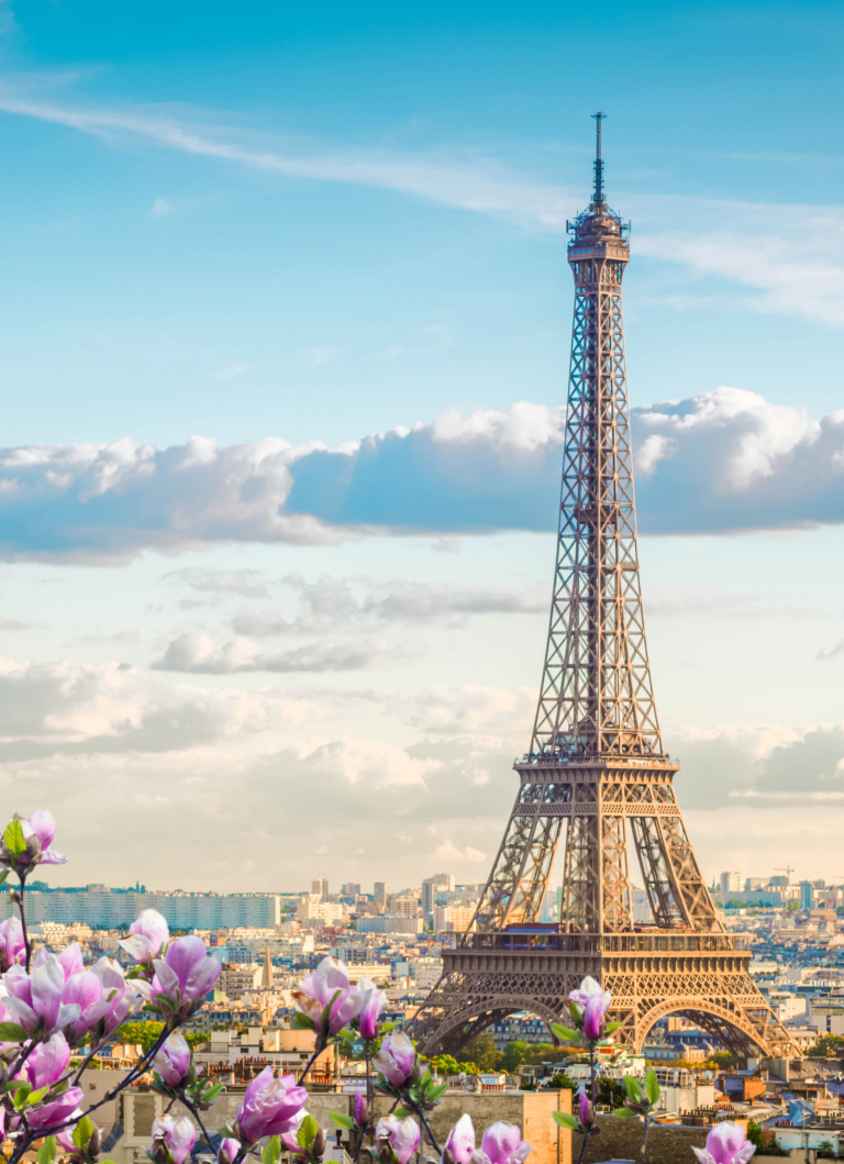Paris (7)