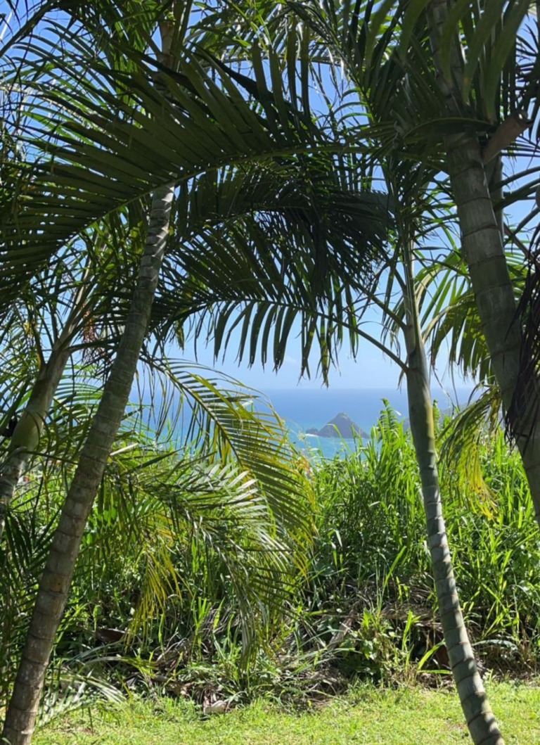 Traditions et Gastronomie (2)