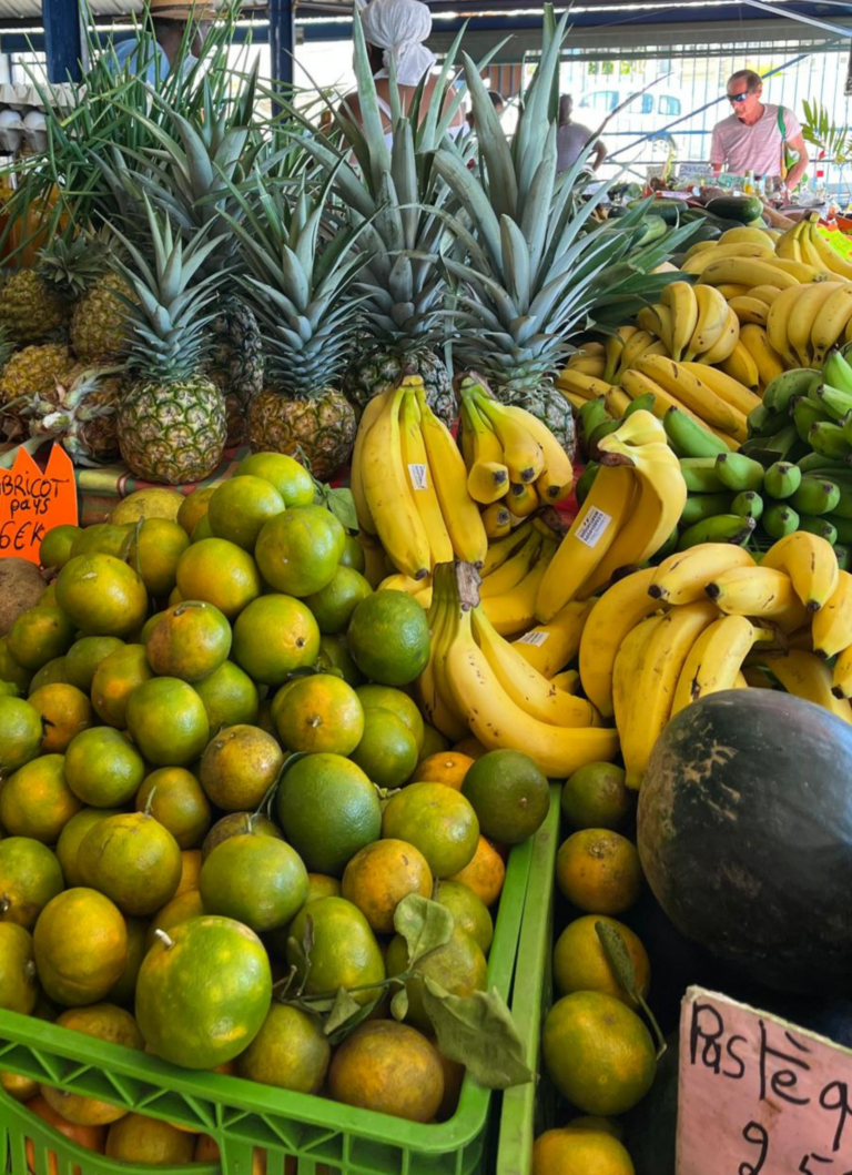 Traditions et Gastronomie (3)