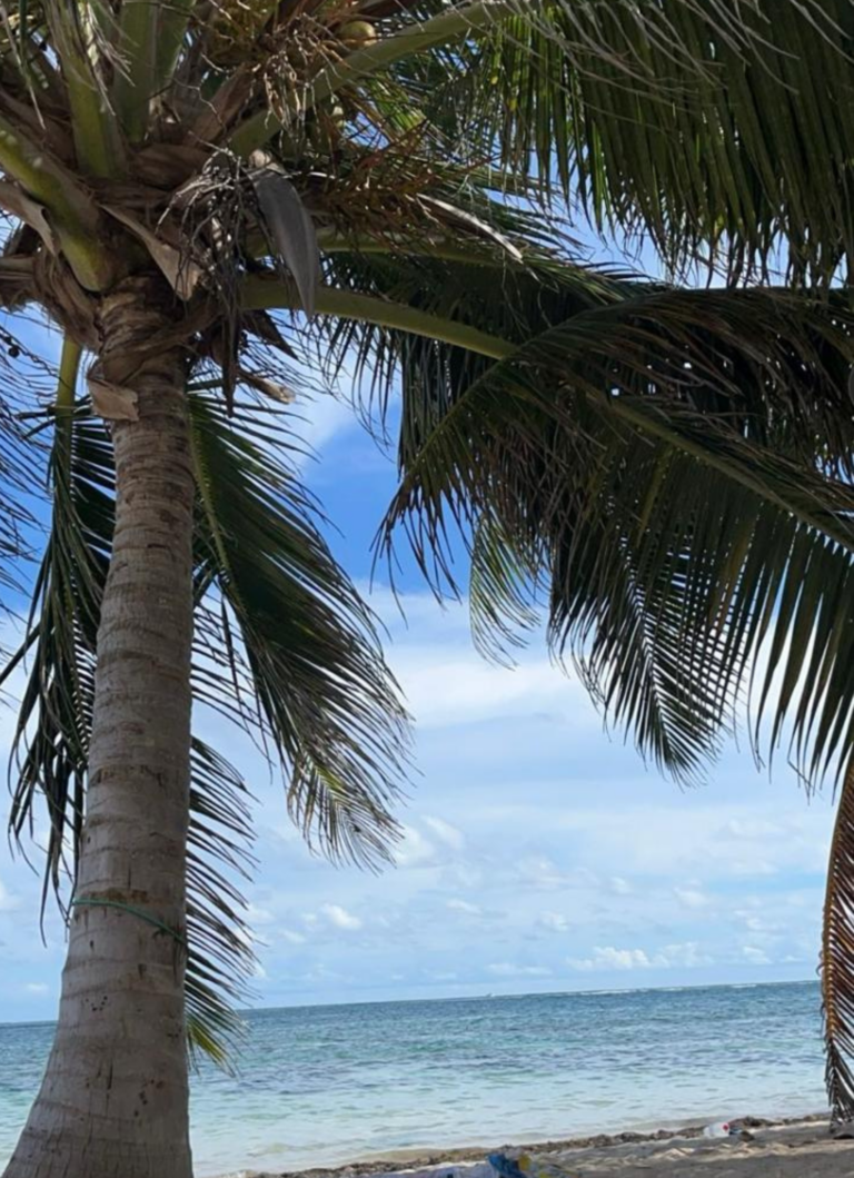 Traditions et Gastronomie (4)