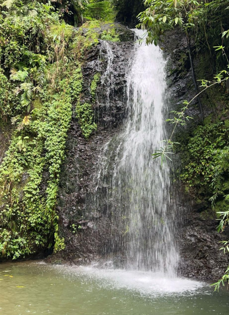 Traditions et Gastronomie (5)