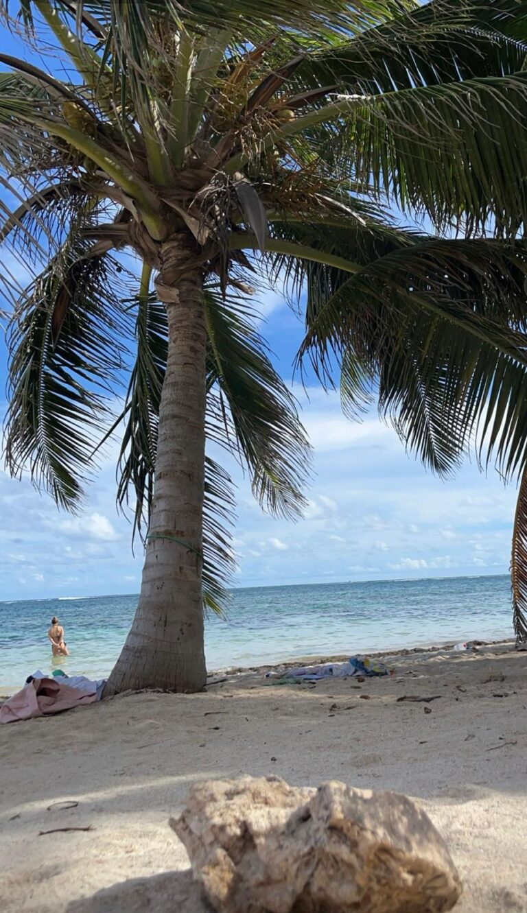 anse michel martinique