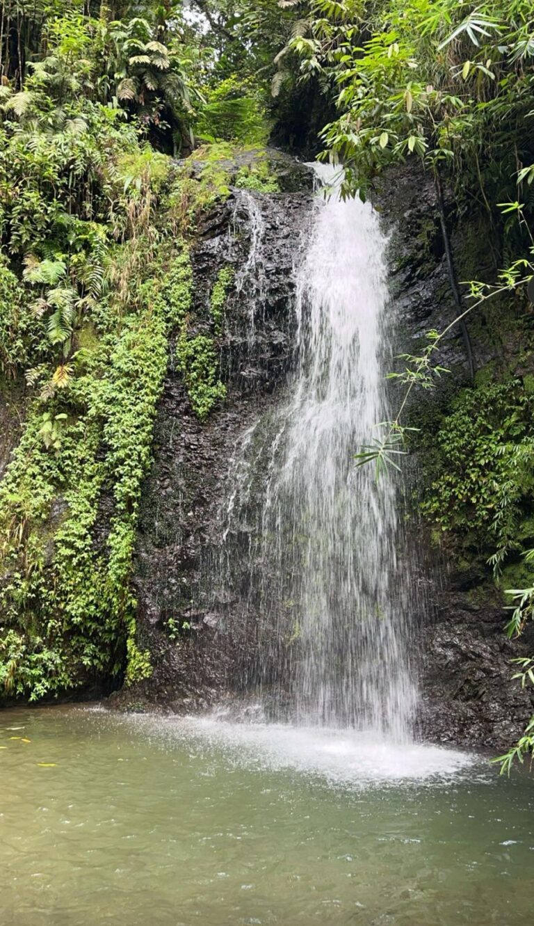 cascademartiniquelocationansemitantiparadis