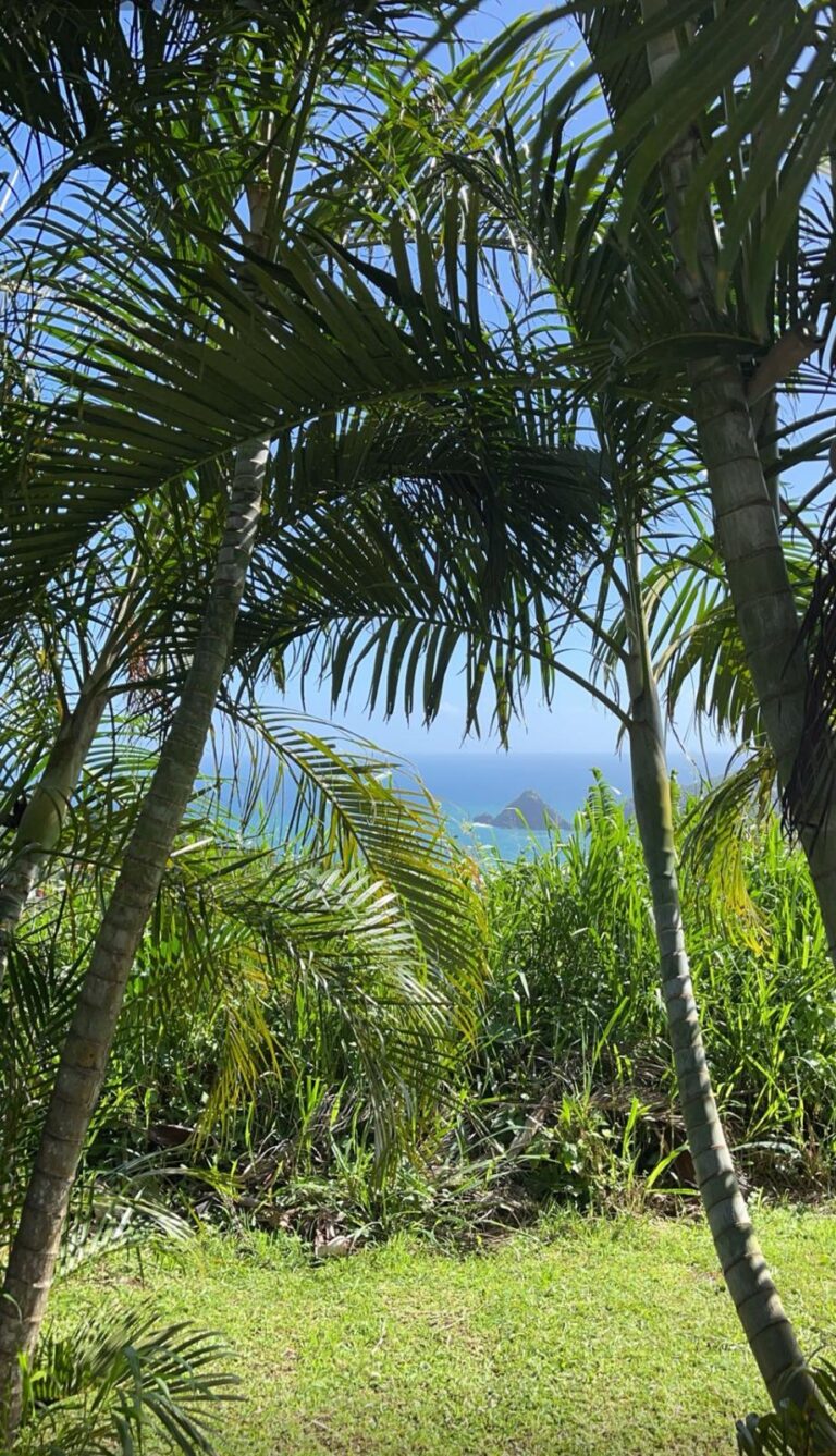 rocher du diamant martinique locationmartinique