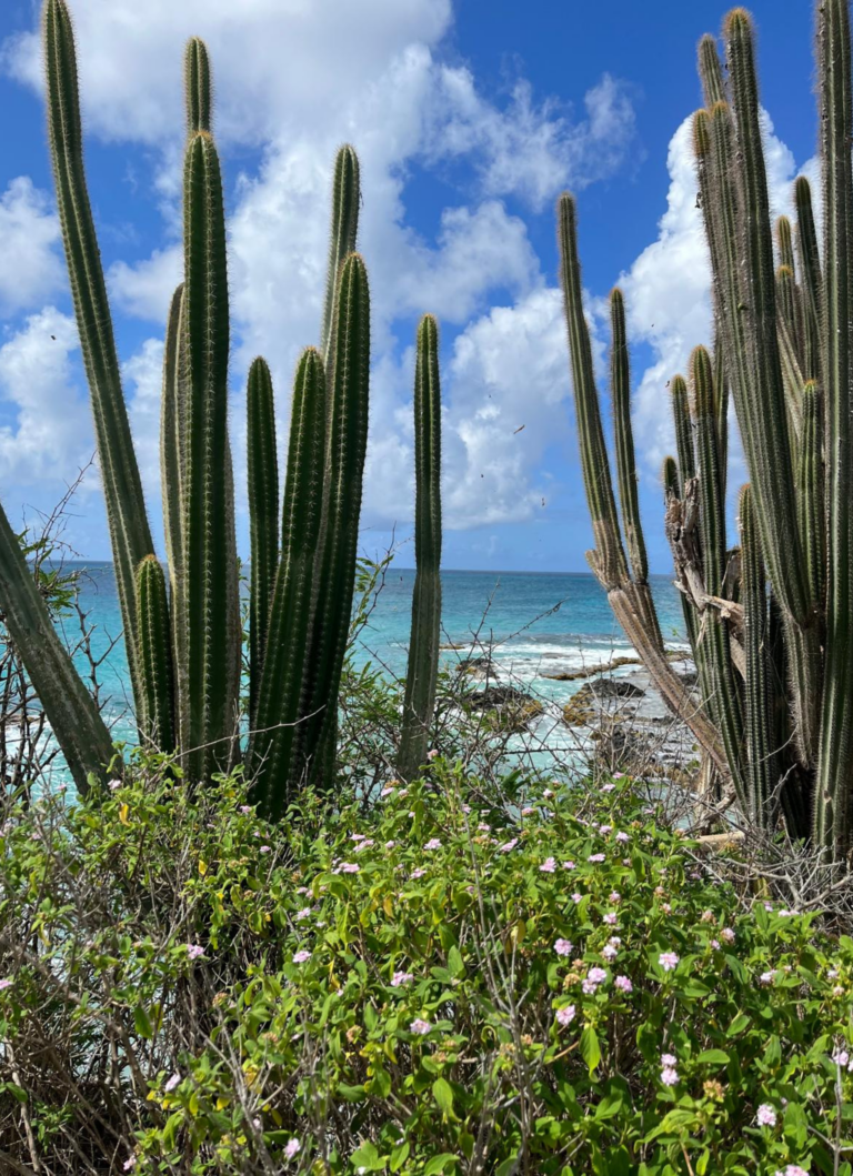 traditions et gastronomie journee jvo voyages (2)