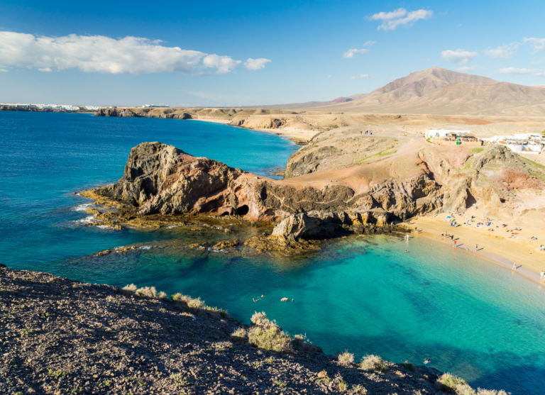 canaries-4