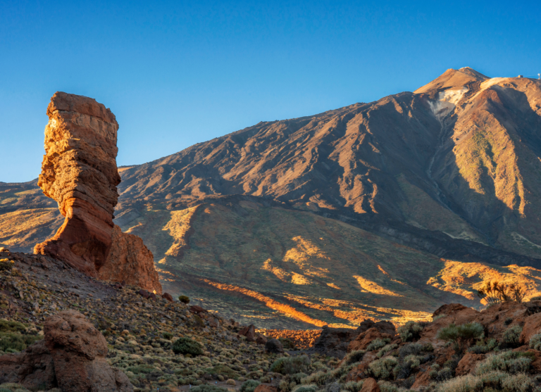 canaries-5