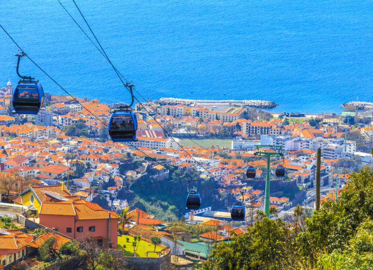 canaries-6